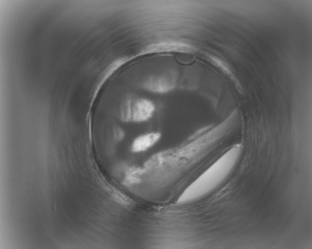 X0000059841275200511041803