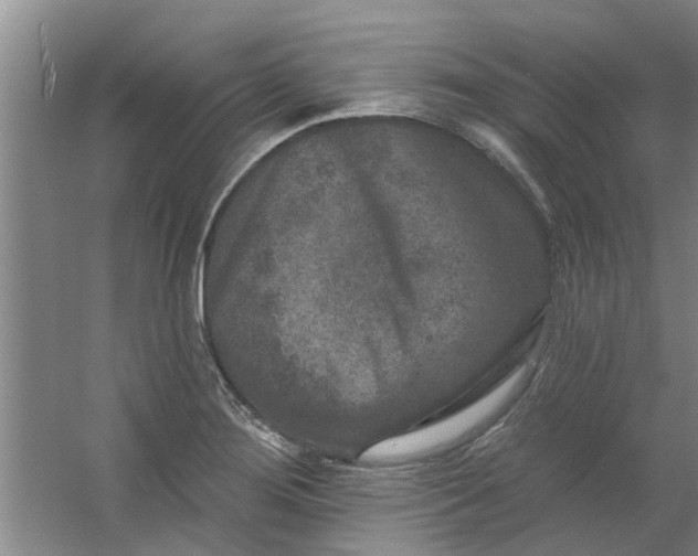 X0000059841276200511041803