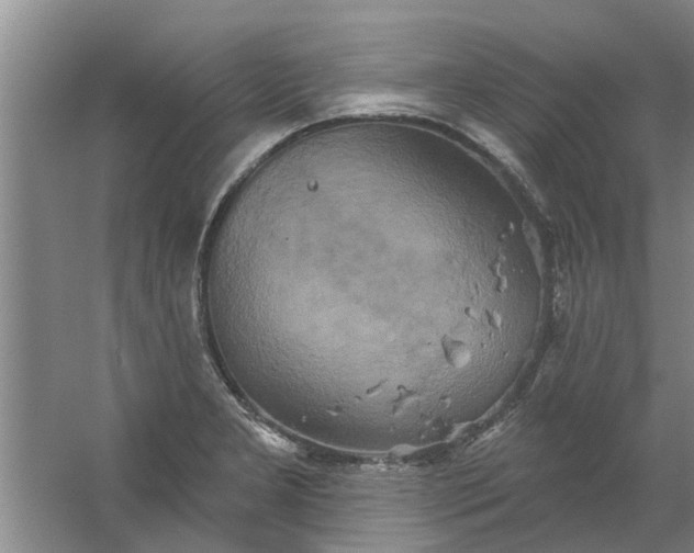 X0000059841277200511041803