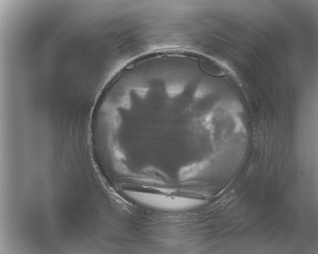 X0000059841279200511041803