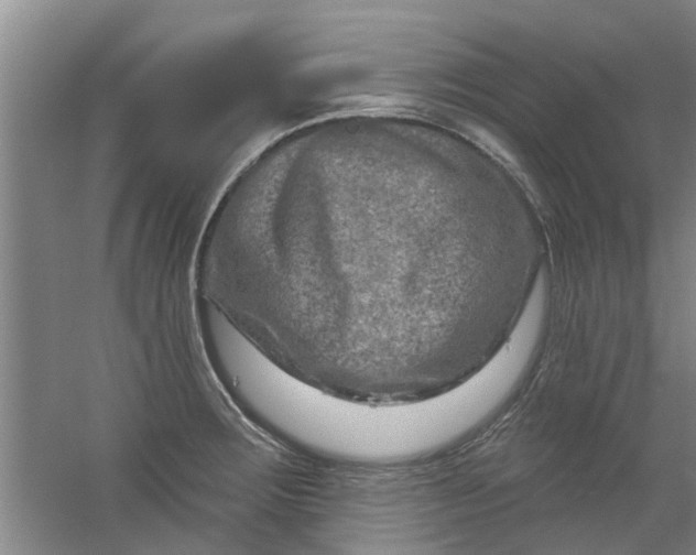 X0000059841283200511041803