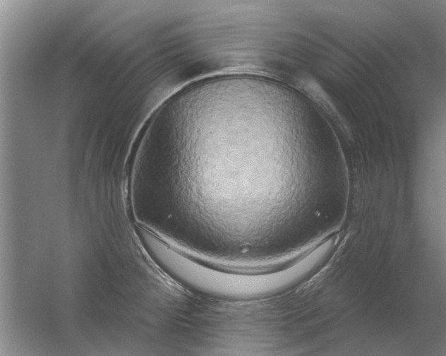 X0000059841284200511041803