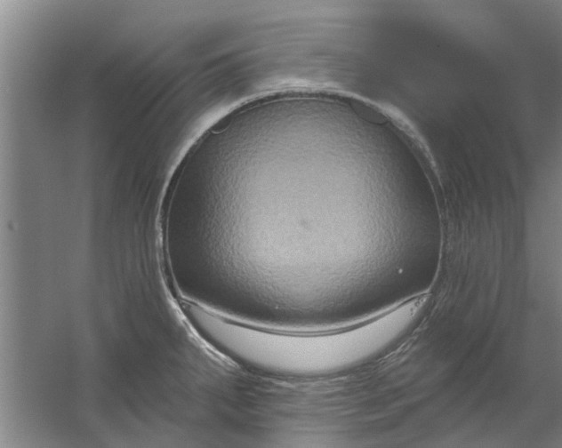 X0000059841287200511041803