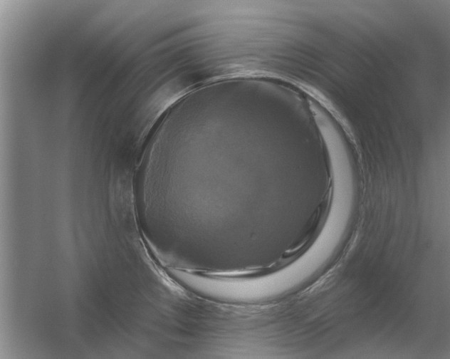 X0000059841289200511041803