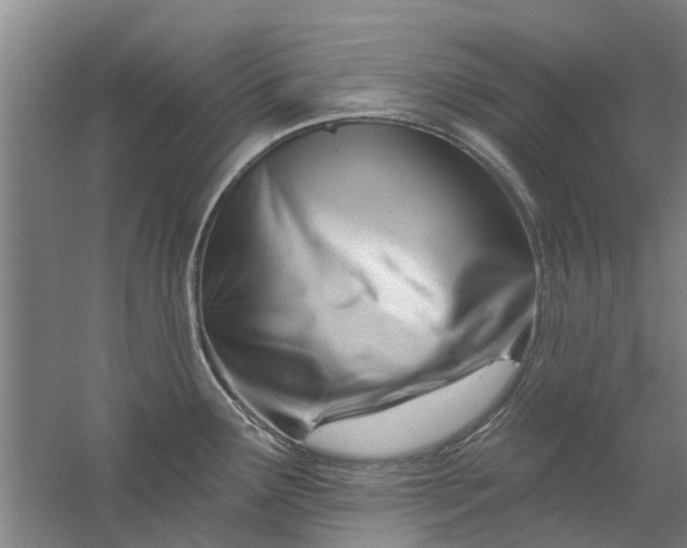 X0000059841291200511041803