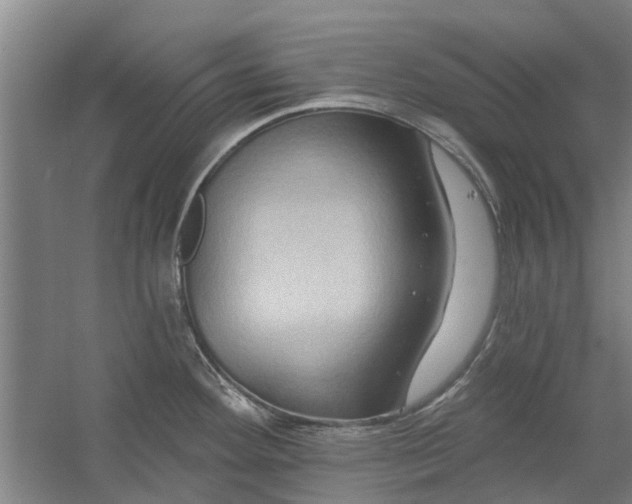 X0000059841292200511041803