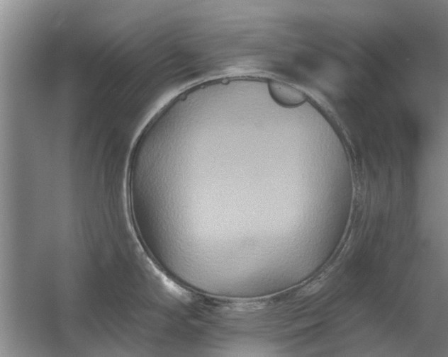 X0000059841294200511041803