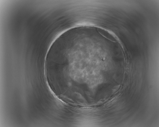 X0000059841295200511041803