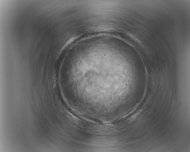 X0000059841306200511041802