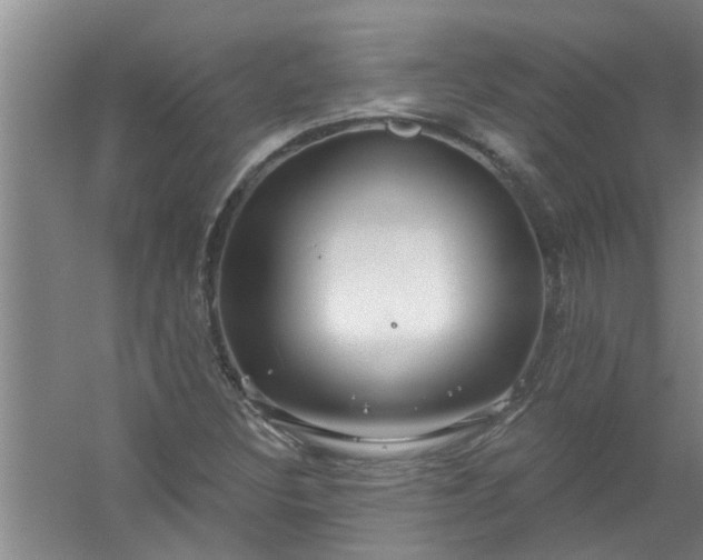 X0000059841308200511041802