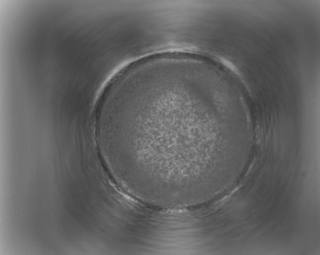 X0000059841310200511041802