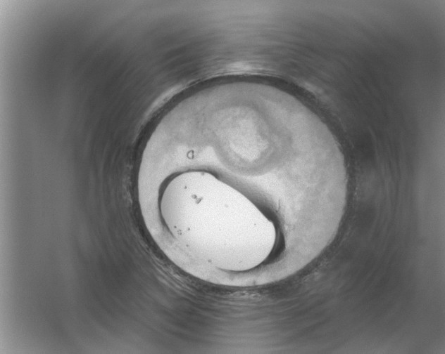 X0000059841314200511041802