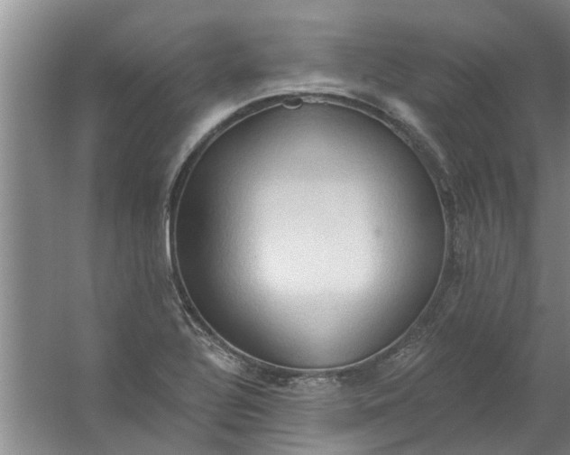 X0000059841320200511041802