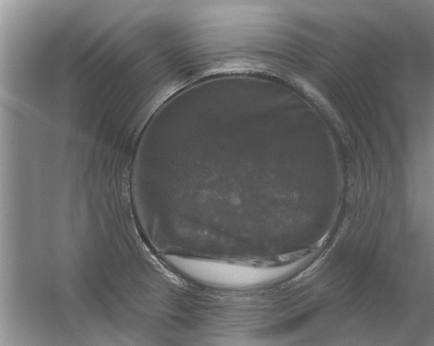 X0000059841329200511041803