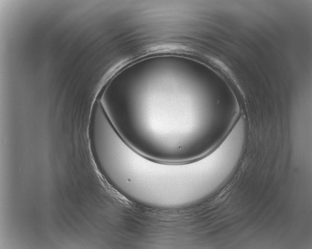 X0000059841330200511041803