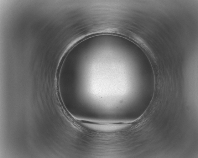 X0000059841332200511041803