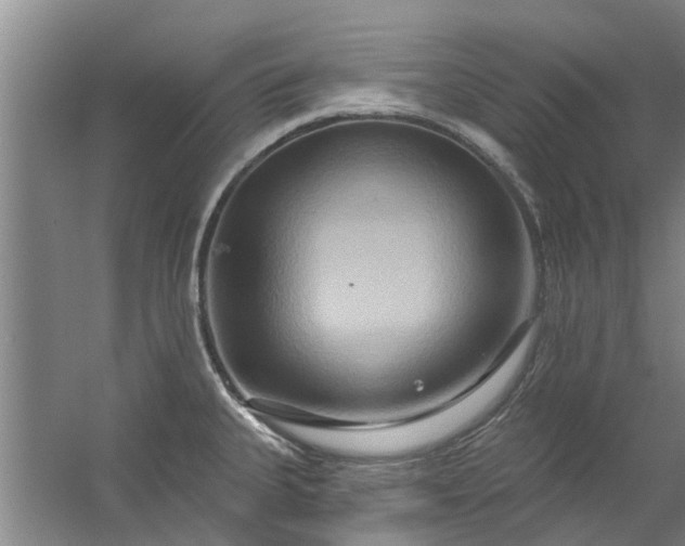 X0000059841335200511041803