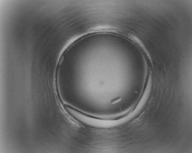 X0000059841336200511041803