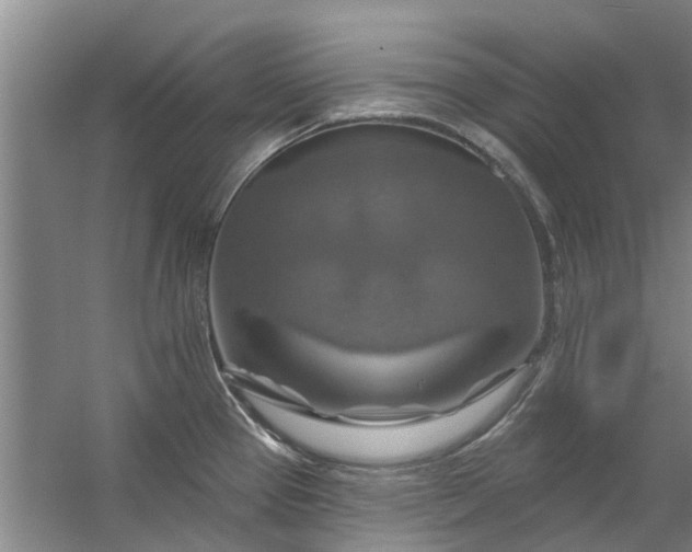 X0000059841337200511041803