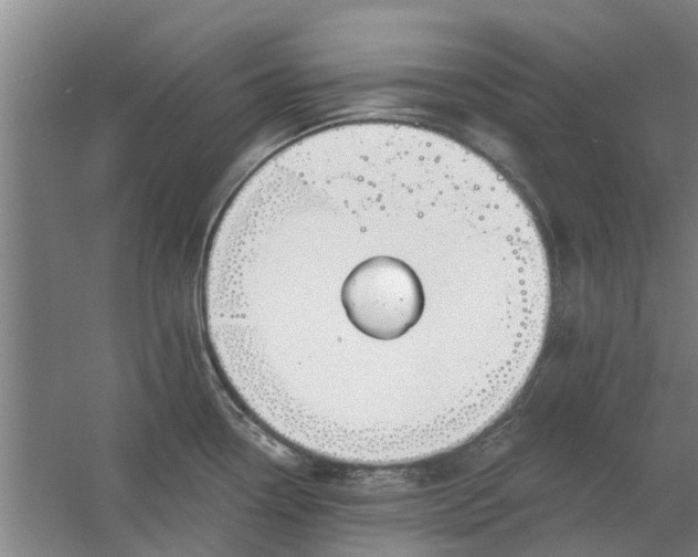 X0000059841338200511041803