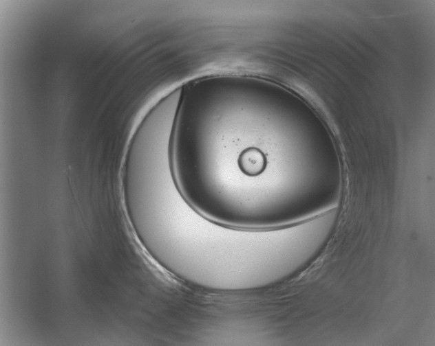 X0000059841344200511041803