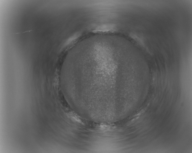 X0000059841350200511041802