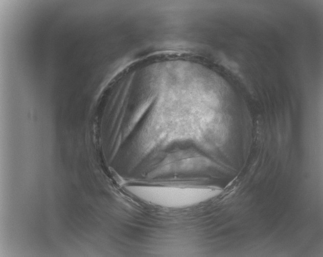 X0000059841352200511041802