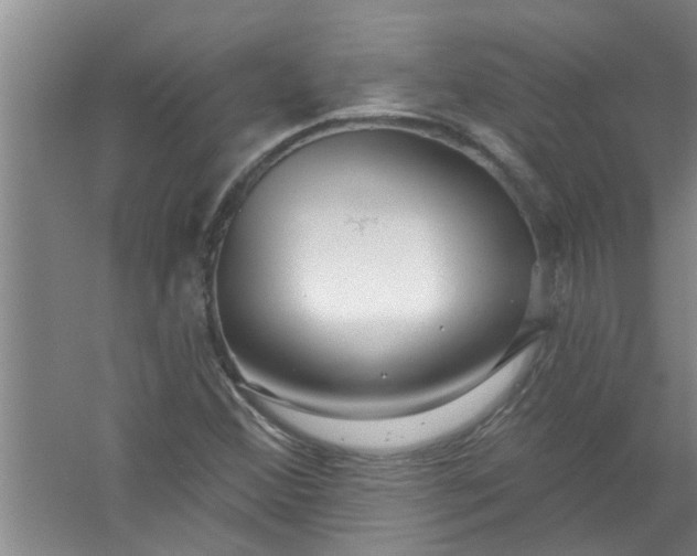 X0000059841356200511041802