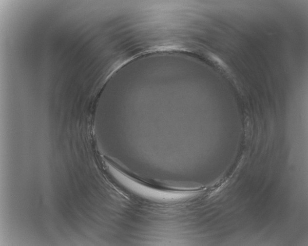 X0000059841361200511041802