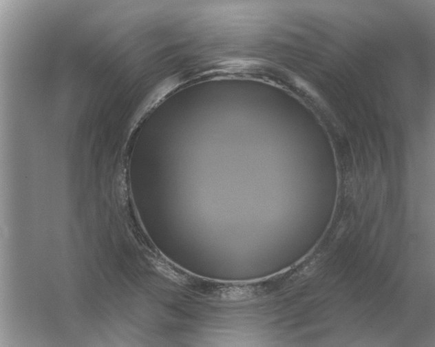 X0000059841362200511041802