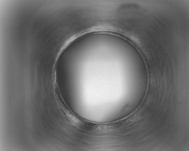 X0000059841366200511041802