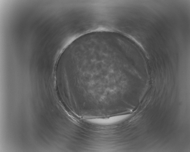 X0000059841367200511041802