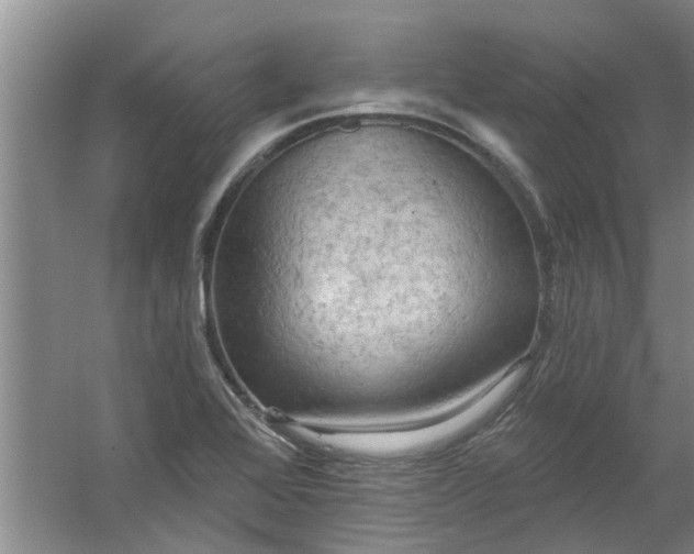 X0000059841368200511041802