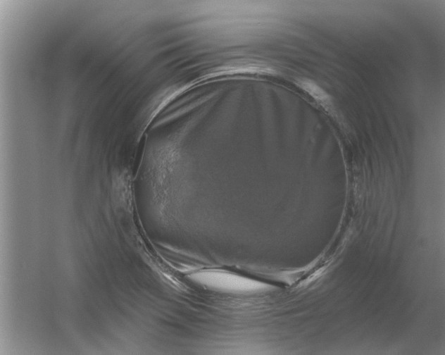 X0000059841369200511041802