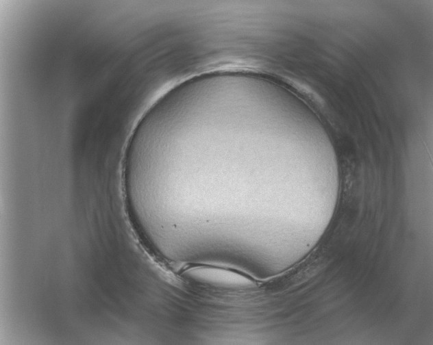 X0000059841375200511041802