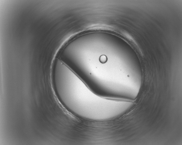 X0000059841376200511041802