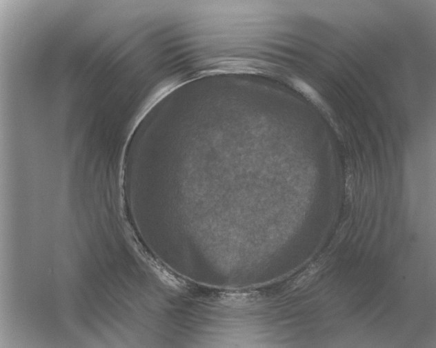 X0000059841378200511041802