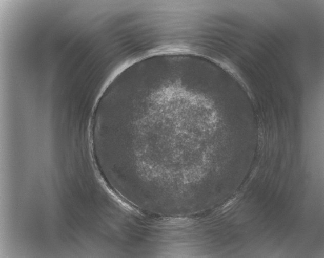 X0000059841382200511041801