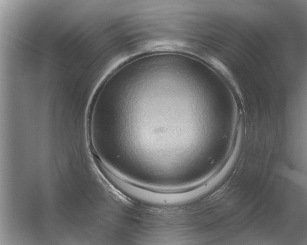 X0000059841384200511041801