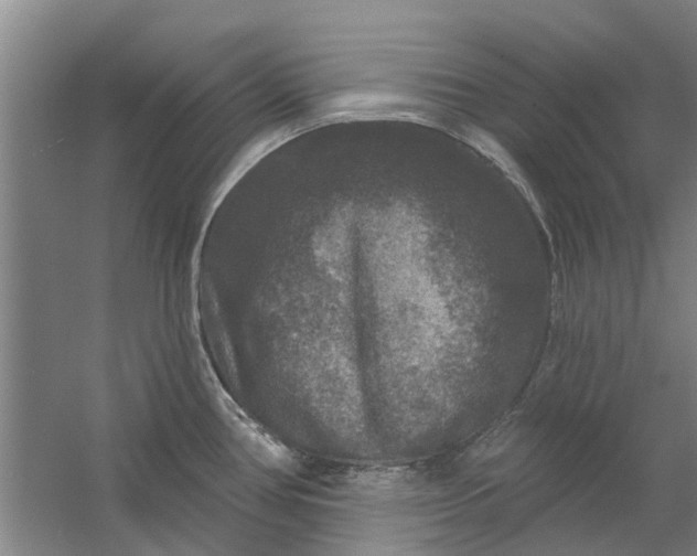 X0000059841386200511041801