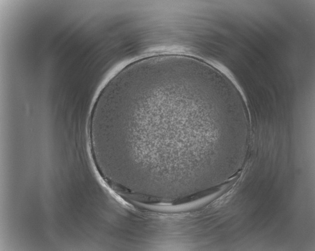 X0000059841389200511041801