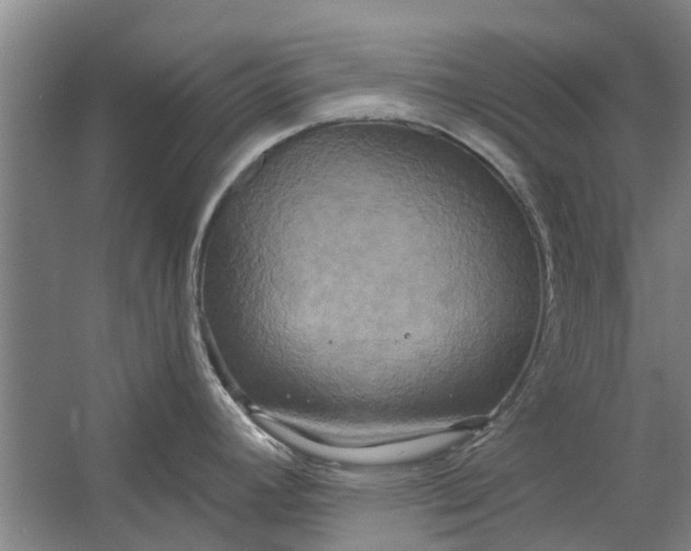 X0000059841392200511041801