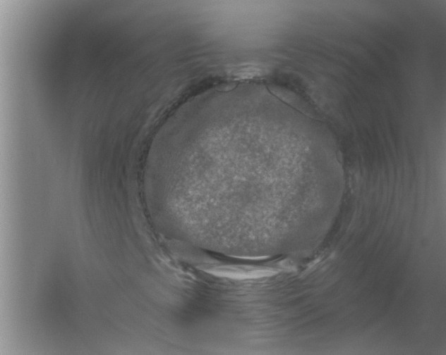 X0000059841393200511041800