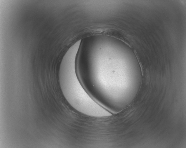 X0000059841394200511041800