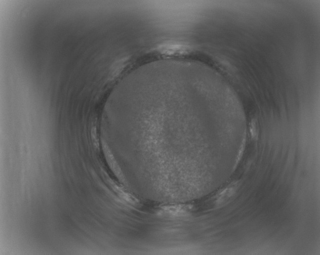 X0000059841396200511041801