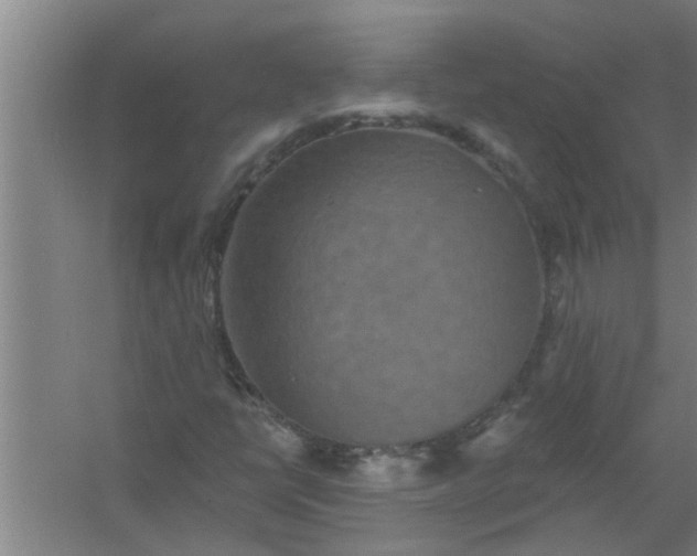 X0000059841398200511041801