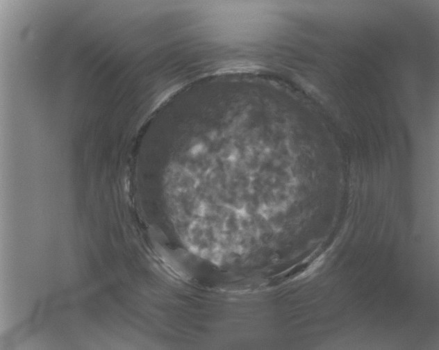 X0000059841401200511041801