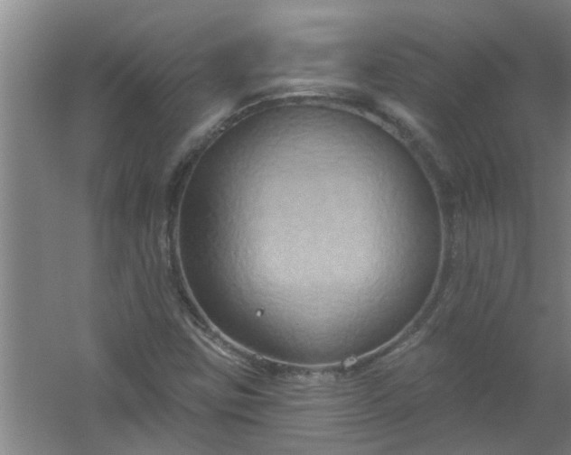 X0000059841403200511041801