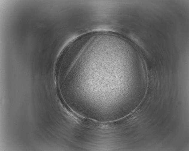 X0000059841408200511041801