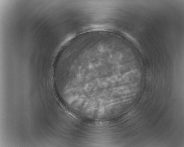 X0000059841411200511041801